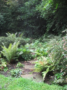 Fern bed