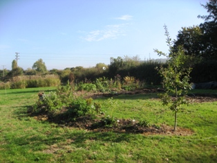 The bed planted up