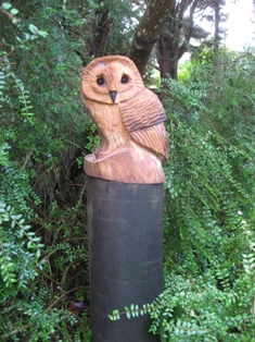 Owl 1